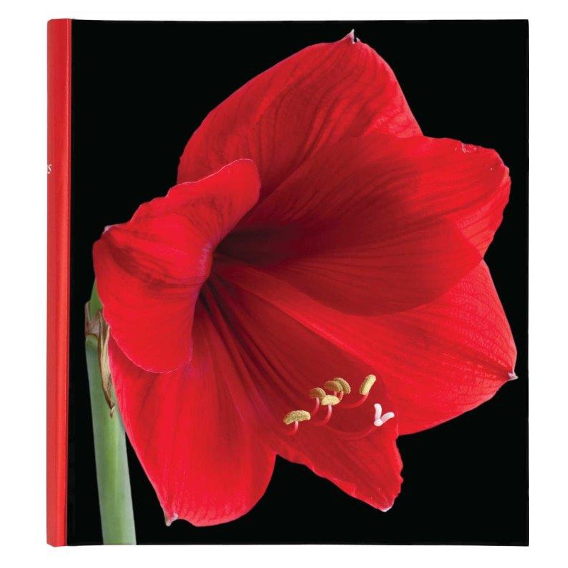 Klasické fotoalbum Botanics 29x32/100s. červené