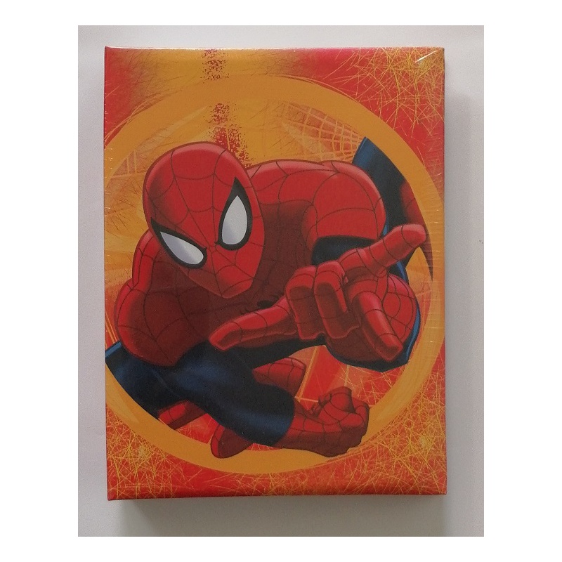 Dětské fotoalbum 10x15/200 DISNEY Spiderman